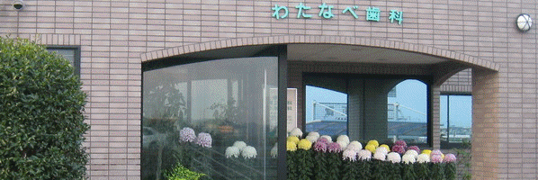阿南_わたなべ歯科